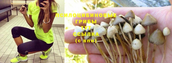 марки lsd Аркадак