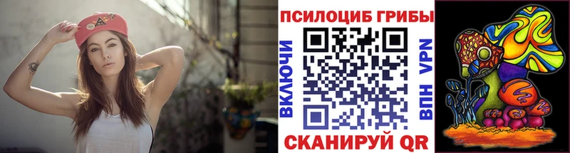 Галлюциногенные грибы Psilocybe  Ахтубинск 