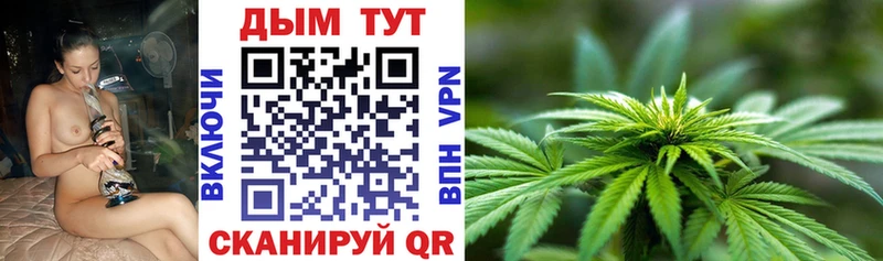 Канабис конопля Ахтубинск